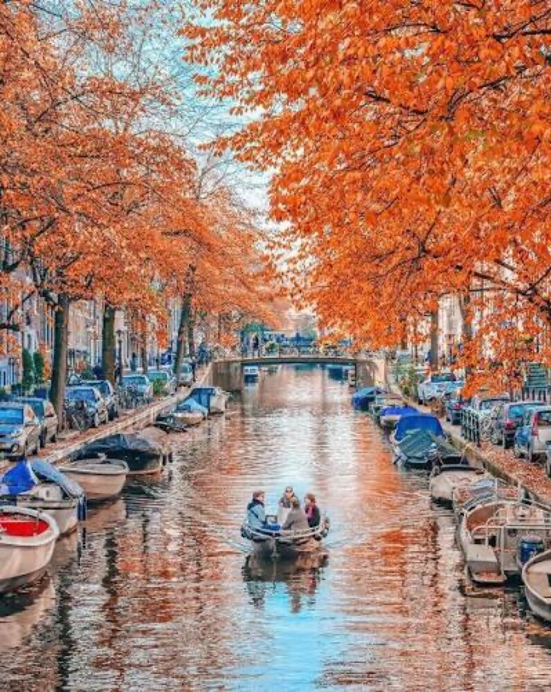 An Amsterdam canal glowing with orange autumn leaves