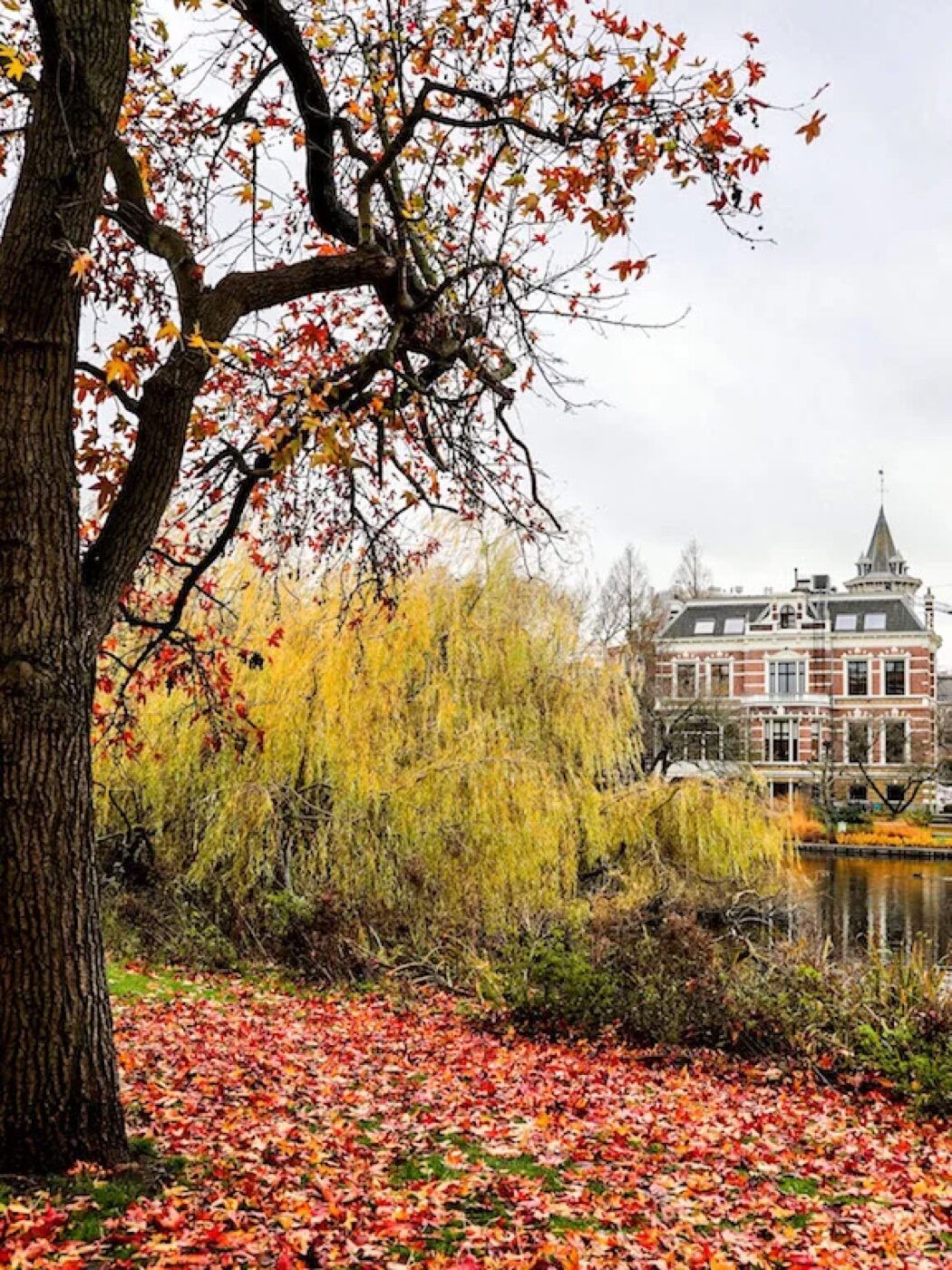 Late autumn foliage beside the water near Vondelpark