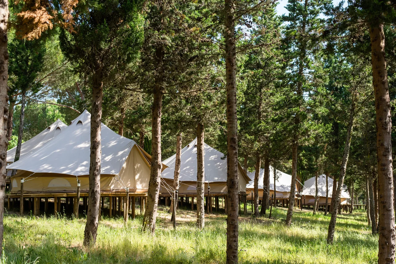 Canvas suites tucked between tall trees at DOMA Portugal