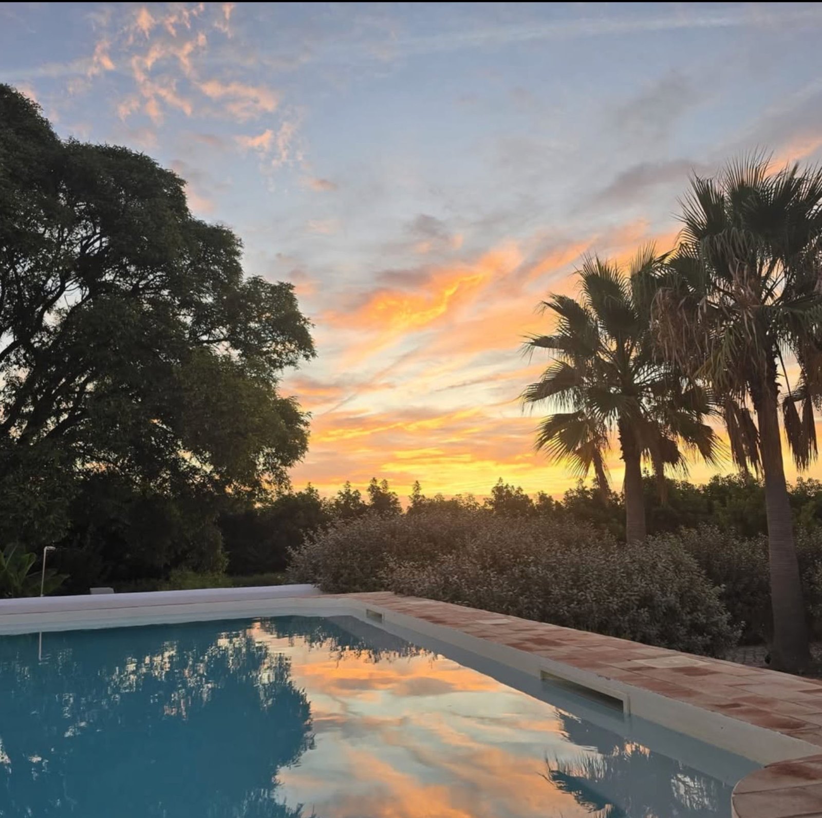 The pool and lush gardens of Quinta do Pinheiro in the Algarve light